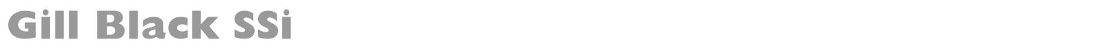 Gill Black SSi font preview